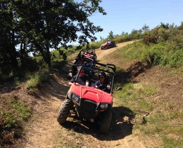  Entdecken Sie, wie man einen Buggy fährt 
